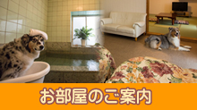 お部屋は全部で3部屋ございます。伊豆高原の自然の中で、ゆったりお寛ぎいただけます。
